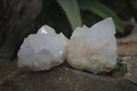 Natural White Cactus Spirit Quartz Clusters  x 12 From Boekenhouthoek, South Africa - Toprock Gemstones and Minerals 