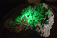 Natural Fluorescent Hyalite Opal Specimen x 1 From Erongo, Namibia