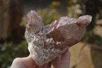 Natural Red Hematoid Quartz Specimens x 6 From Karoi, Zimbabwe