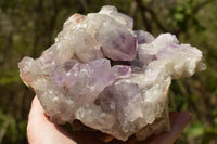 Natural Large Stunning Jacaranda Amethyst Vug Cluster  x 1 From Zambia - TopRock