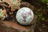 Polished Small Pink Rubellite Tourmaline In White Feldspar & Blue Lithium Spheres  x 2 From Madagascar - TopRock