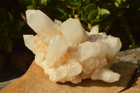 Natural Large Milky White Quartz Cluster With Clean Intact Crystals  x 1 From Madagascar - TopRock