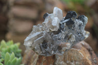 Natural Schorl Black Tourmaline Specimens With Hyalite Opal x 2 From Erongo Mountains, Namibia - TopRock