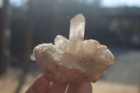 Natural Hematoid Quartz Crystals x 12 From Karoi, Zimbabwe