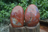 Polished Red Jasper Standing Free Forms  x 2 From Madagascar - Toprock Gemstones and Minerals 