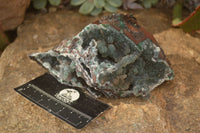 Natural Drusy Coated Ball Malachite On Dolomite Specimens  x 2 From Likasi, Congo