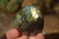 Polished  Flashy Labradorite Palm Stones  x 12 From Tulear, Madagascar