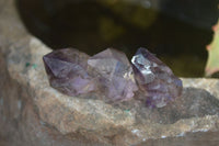 Natural Single Smokey Amethyst Crystals  x 35 From Chiredzi, Zimbabwe - Toprock Gemstones and Minerals 