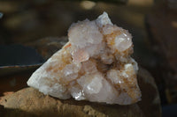 Natural Lilac Spirit Amethyst Quartz Clusters  x 6 From Boekenhouthoek, South Africa - Toprock Gemstones and Minerals 