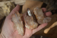 Natural Hematoid Quartz Crystals x 12 From Karoi, Zimbabwe