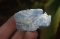 Natural New Sky Blue Calcite Specimens  x 70 From Spitzkop, Namibia - Toprock Gemstones and Minerals 