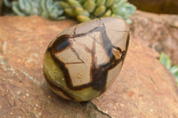 Polished Septaria Dragon's Eggs (Calcite & Aragonite) x 3 From Mahajanga, Madagascar - TopRock