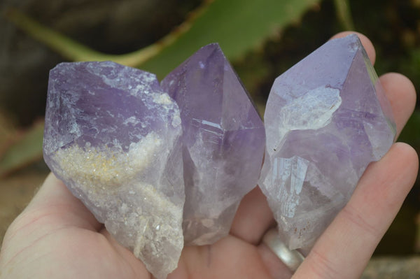 Natural Single Jacaranda Amethyst Crystals  x 12 From Zambia - Toprock Gemstones and Minerals 