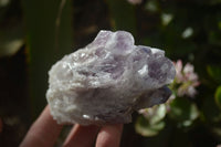 Natural Sugar Amethyst Clusters  x 4 From Solwezi, Zambia