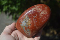 Polished Red Jasper Standing Free Forms  x 2 From Madagascar - Toprock Gemstones and Minerals 