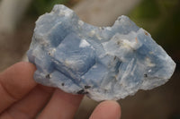 Natural New Sky Blue Calcite Specimens  x 35 From Spitzkop, Namibia