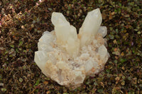 Natural Large Milky White Quartz Cluster With Clean Intact Crystals  x 1 From Madagascar - TopRock