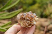 Natural Mixed Selection Of Spirit Quartz Clusters  x 12 From Boekenhouthoek, South Africa - TopRock