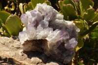 Natural Large Stunning Jacaranda Amethyst Vug Cluster  x 1 From Zambia - TopRock