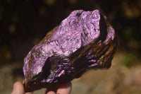 Natural Metallic Purpurite Cobbed Specimens  x 2 From Namibia - Toprock Gemstones and Minerals 