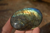 Polished  Flashy Labradorite Palm Stones  x 12 From Tulear, Madagascar