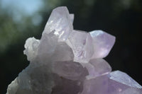 Natural Jacaranda Amethyst Clusters  x 3 From Mumbwa, Zambia - Toprock Gemstones and Minerals 