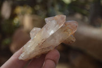 Natural Hematoid Quartz Crystals x 12 From Karoi, Zimbabwe