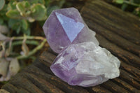 Natural Single Jacaranda Amethyst Crystals  x 12 From Zambia - Toprock Gemstones and Minerals 