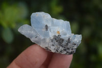 Natural New Sky Blue Calcite Specimens  x 70 From Spitzkop, Namibia - Toprock Gemstones and Minerals 