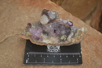 Polished Conglomerate Amethyst Clusters (Man Made) x 6 From Chiredzi, Zimbabwe - TopRock