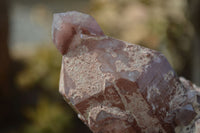 Natural Red Hematoid Quartz Specimens x 6 From Karoi, Zimbabwe