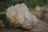 Natural White Cactus Spirit Quartz Clusters  x 12 From Boekenhouthoek, South Africa - Toprock Gemstones and Minerals 