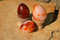 Polished Gorgeous Deep Red Carnelian Agate Eggs  x 12 From Madagascar - TopRock