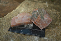 Natural New Sunset Orange Calcite Specimens  x 24 From Spitzkop, Namibia