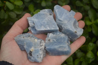 Natural New Sky Blue Calcite Specimens  x 35 From Spitzkop, Namibia