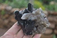 Natural Schorl Black Tourmaline Specimens With Hyalite Opal x 2 From Erongo Mountains, Namibia - TopRock