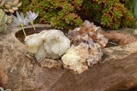 Natural Mixed Selection Of Spirit Quartz Clusters  x 12 From Boekenhouthoek, South Africa - TopRock