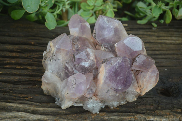 Natural Jacaranda Amethyst Cluster x 1 From Mumbwa, Zambia - TopRock