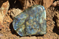 Polished Labradorite Standing Free Forms With Intense Blue Flash x 2 From Sakoany, Madagascar - TopRock