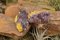 Natural Dark "Amethystos" Amethyst Clusters  x 24 From Kwaggafontein, South Africa - TopRock