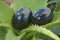 Polished Schorl Black Tourmaline Palm Stones  x 12 From Madagascar - Toprock Gemstones and Minerals 