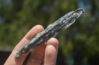 Natural Small Semi Translucent Blue Kyanite Crystals  x Sold per 1 Kg -  From Karoi, Zimbabwe - TopRock