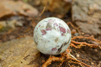 Polished Small Pink Rubellite Tourmaline In White Feldspar & Blue Lithium Spheres  x 2 From Madagascar - TopRock