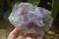 Natural Jacaranda Amethyst Clusters x 2 From Zambia