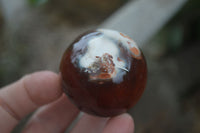 Polished Vibrant Carnelian Agate Spheres  x 5 From Madagascar - Toprock Gemstones and Minerals 