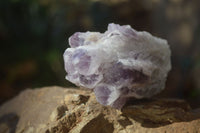 Natural Sugar Amethyst Clusters  x 4 From Solwezi, Zambia