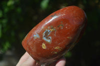 Polished Red Jasper Standing Free Forms  x 2 From Madagascar - Toprock Gemstones and Minerals 