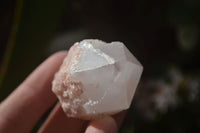 Natural Pink Pineapple Quartz Crystals  x 20 From Madagascar