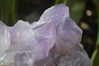 Natural Jacaranda Amethyst Clusters x 2 From Zambia