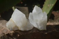 Natural Pineapple Candle Quartz Crystals  x 35 From Madagascar